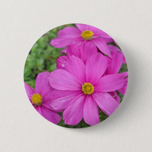 Rosa Kosmosegarten Button