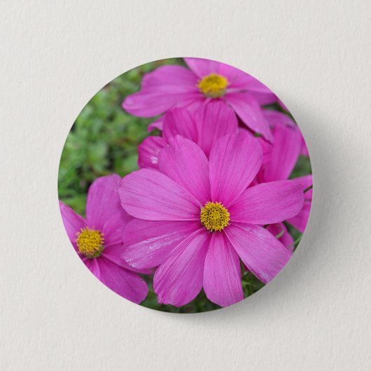 Rosa Kosmosegarten Button (Vorderseite)