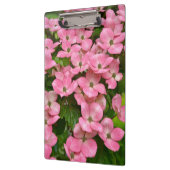 Rosa kousa Hartriegel-Blumen Klemmbrett (Links)