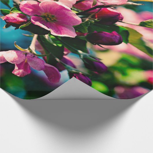Rosa Krabbenapfel-Blume Geschenkpapier (Ecke)