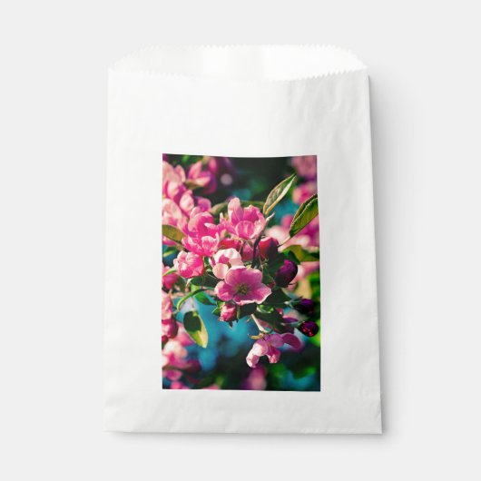 Rosa Krabbenapfel-Blume Geschenktütchen (Vorderseite)