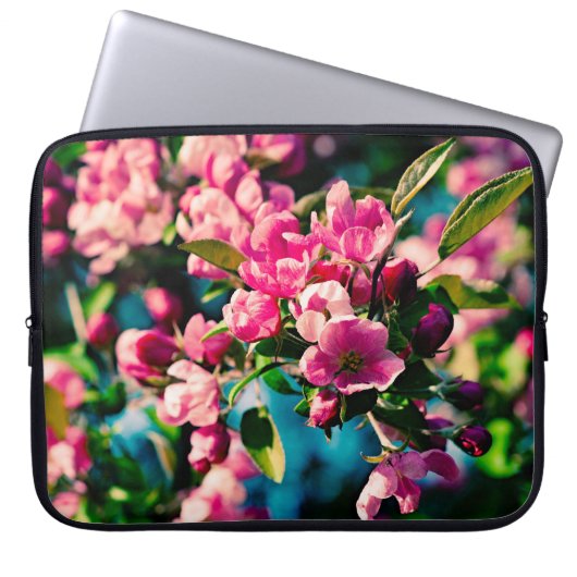 Rosa Krabbenapfel-Blume Laptopschutzhülle (Vorderseite)