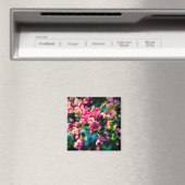 Rosa Krabbenapfel-Blume Magnet (In Situ (Geschirrspüler))