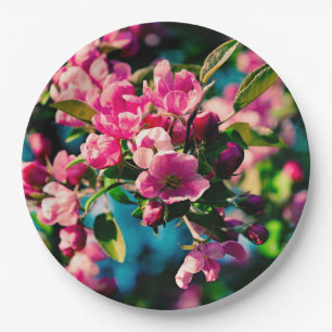 Rosa Krabbenapfel-Blume Pappteller