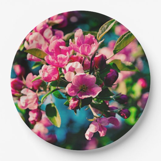 Rosa Krabbenapfel-Blume Pappteller (Vorderseite)