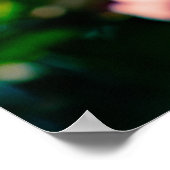 Rosa Krabbenapfel-Blume Poster (Ecke)