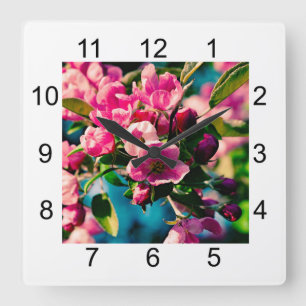 Rosa Krabbenapfel-Blume Quadratische Wanduhr