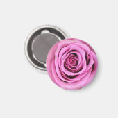 Rosa Kreismagnet Magnet (Vorderseite/Rückseite)