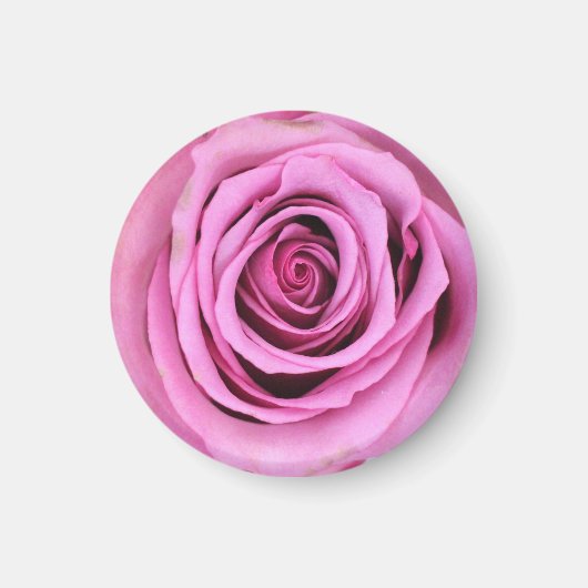 Rosa Kreismagnet Magnet (Vorne)