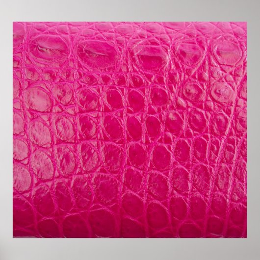 Rosa Krokodillederhaut, Lederstruktur Poster (Vorne)