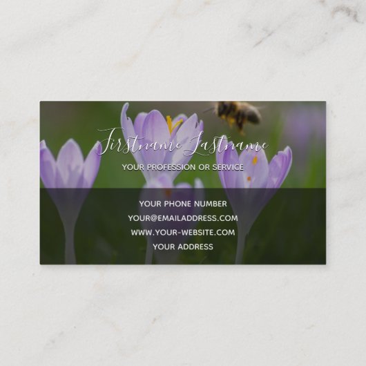 Rosa Krokusblüte, graues Rechteck Visitenkarte (Rückseite)