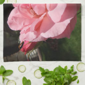 Rosa Küche Handtücher (Gefaltet)