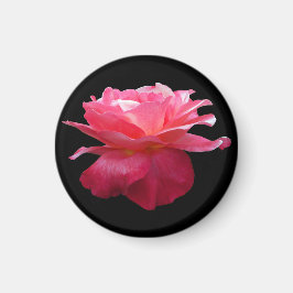 Rosa-Kühlschrankmagnet-Gartengeschenk Magnet