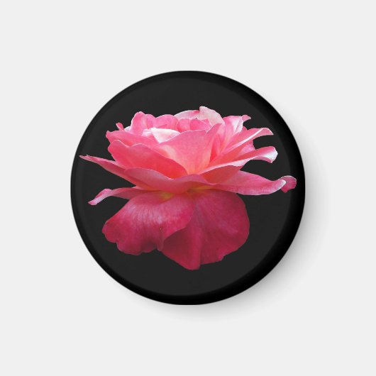 Rosa-Kühlschrankmagnet-Gartengeschenk Magnet (Vorne)