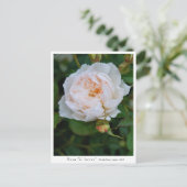 Rosa “L' hiver” Postkarte (Stehend Vorderseite)