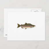 Rosa Lachs Postkarte (Vorne/Hinten)