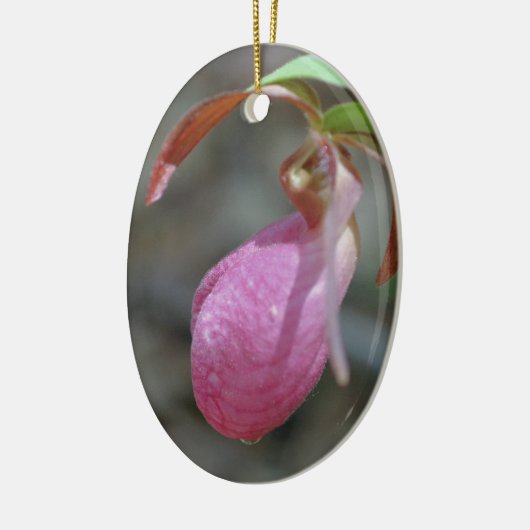 Rosa Lady Slipper Blume Ornament (Links)