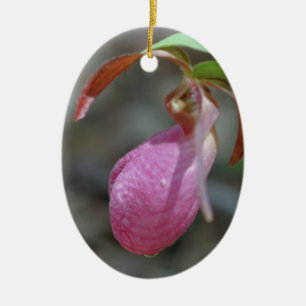 Rosa Lady Slipper Blume Ornament