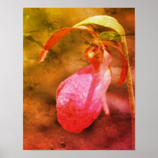 Rosa Lady Slipper Orchid Raindrop gestörte Kunst Poster (Vorne)