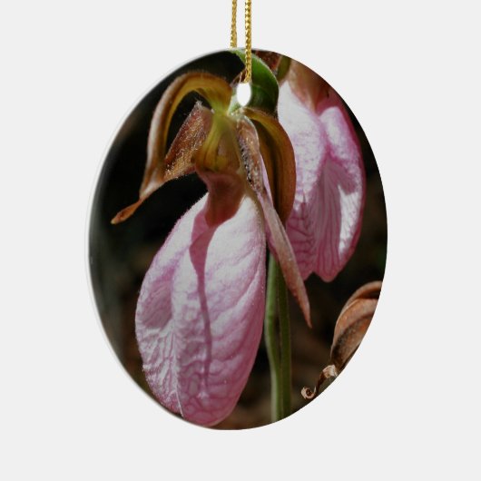 Rosa Lady Slipper Pair Blume Ornament (Rechts)