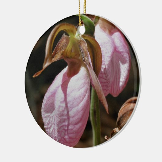 Rosa Lady Slipper Pair Blume Ornament (Links)