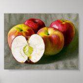 Rosa Ladys. Stillleben. Poster (Vorne)