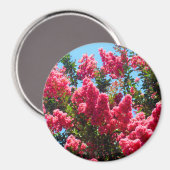 Rosa Lagerstroemia-Blüten-Fotografie Magnet (Vorderseite/Rückseite)