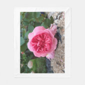 Rosa Landrose Blumen Flanelldecke Fleecedecke (Vorderseite)
