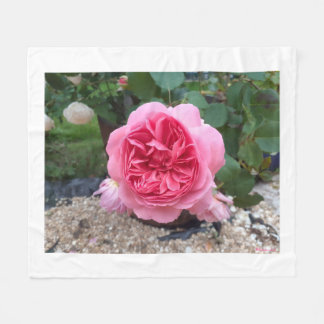 Rosa Landrose Blumen Flanelldecke Fleecedecke