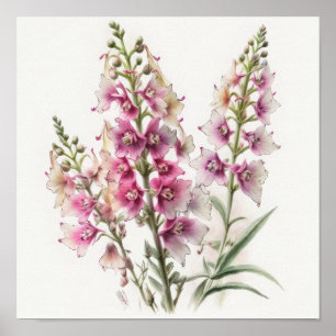 Rosa Larkspur Blume Art Print Poster