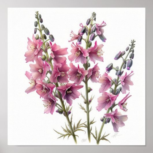 Rosa Larkspur Blume Art Print Poster (Vorne)