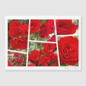 Rosa Lavaglut Magnetkarte (Vorderseite)