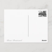 Rosa Lavaglut Postkarte (Rückseite)
