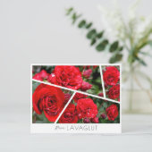 Rosa Lavaglut Postkarte (Stehend Vorderseite)