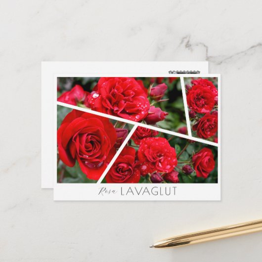 Rosa Lavaglut Postkarte (Vorderseite/Rückseite Beispiel)