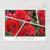Rosa Lavaglut Postkarte (Vorderseite)