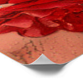 Rosa Lavaglut [Value Poster Paper] (Ecke)