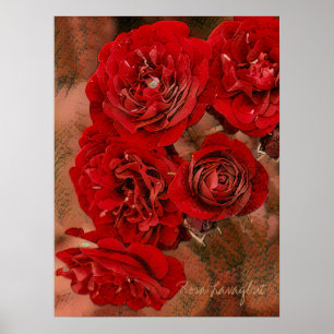 Rosa Lavaglut [Value Poster Paper]