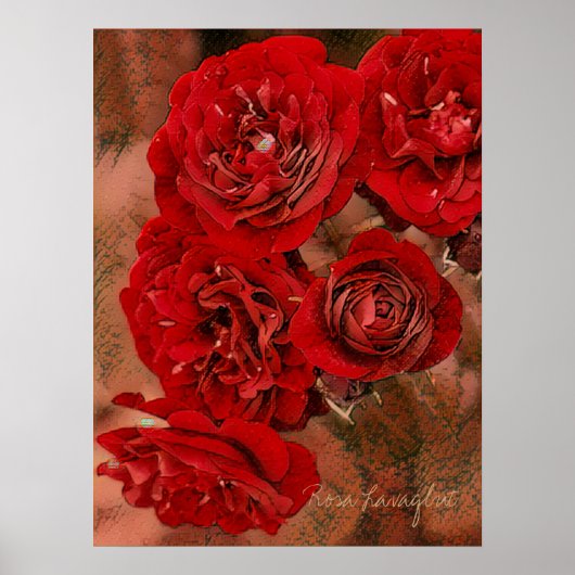 Rosa Lavaglut [Value Poster Paper] (Vorne)
