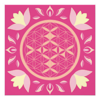 rosa Lebensblume Fotodruck