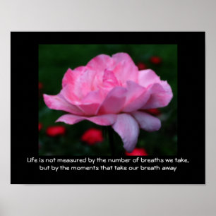 Rosa Lebensmotive Zitat Inspirierend Poster