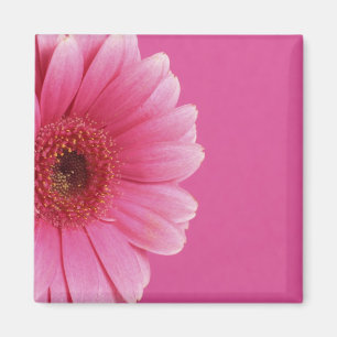 Rosa Leidenschafts-Magnet Magnet