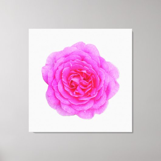 Rosa Leinwand (Vorderseite)
