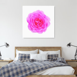 Rosa Leinwand