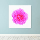 Rosa Leinwand (Insitu (Holzboden))