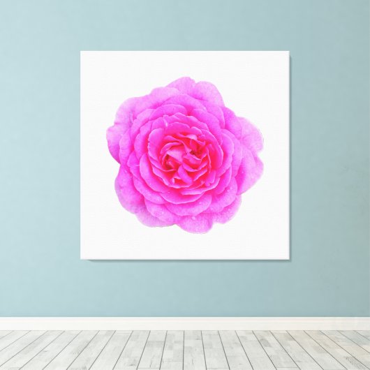 Rosa Leinwand (Insitu (Holzboden))
