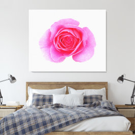 Rosa Leinwand