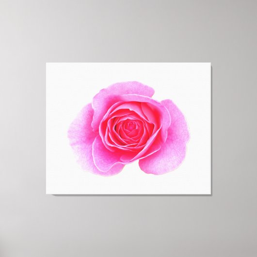 Rosa Leinwand (Vorderseite)