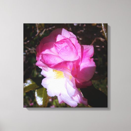 Rosa Leinwand der Kamelien (Vorderseite)