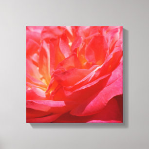 Rosa Leinwand Kunst druckt Rose Blume